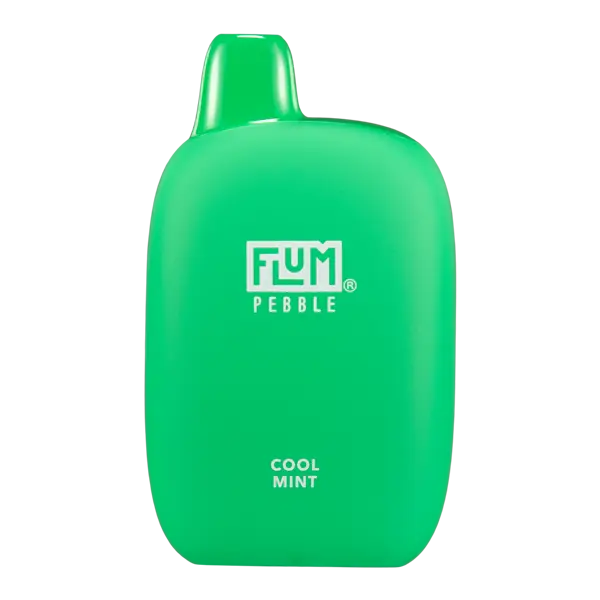 BUY 1 GET 1 FREE Cool Mint FLUM Pebble | Vape Amazon India